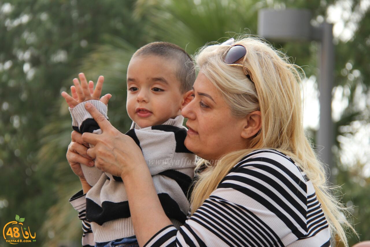 mahrajan jmaehery uwq (15).jpg